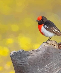 Red Capped Robin Bird Paint By Numbers