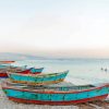 Row Of Wood Boats On Beach Art Paint By Numbers