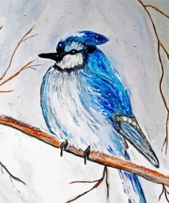 Snowy Blue Jay In Winter Paint By Numbers