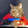 Superhero Cat Paint By Number