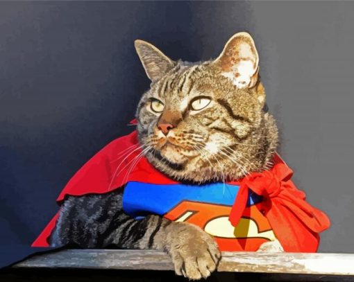 Superhero Cat Paint By Number