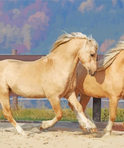 The Welsh Horses Paint By Numbers