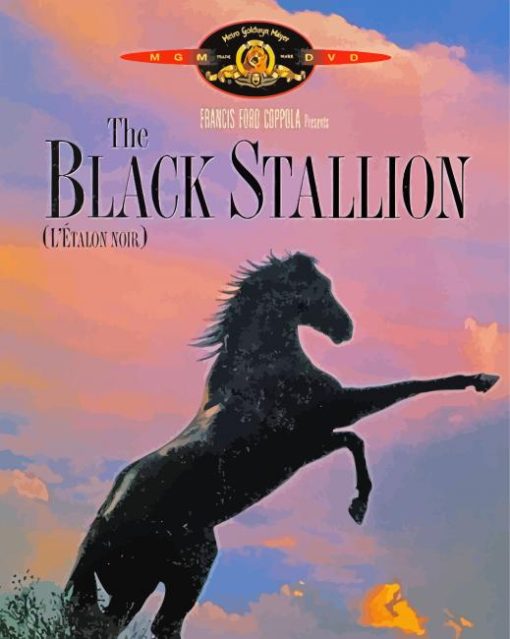 The Black Stallion Paint By Number