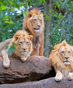 Three Lions On A Rock Paint By Number