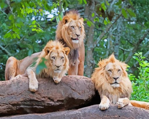 Three Lions On A Rock Paint By Number