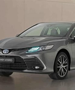 Toyota Camry Car Paint By Numbers