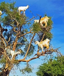 Tree Goats Paint By Numbers