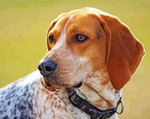 Treeing Walker Coonhound Dog Paint By Numbers