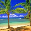 Tropical Scene Beach Paint By Number