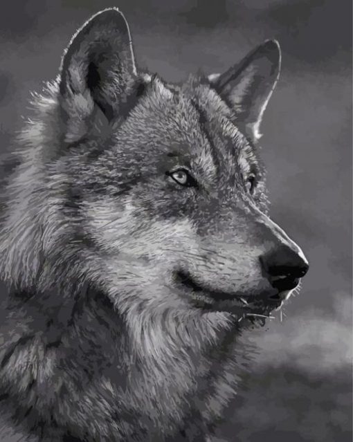 Wolf In Black And White Paint By Numbers