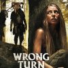 Wrong Turn Movie Poster Paint By Number