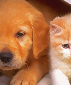 Adorable Puppy And Kitten Paint By Number