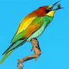 Aesthetic Bee Eater Art Paint By Numbers