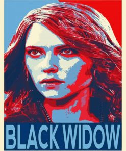 Aesthetic Black Widow Pop Art Paint By Number