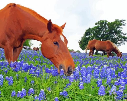 Aesthetic Bluebonnets And Horse Paint By Numbers