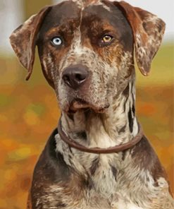 Aesthetic Catahoula Paint By Numbers