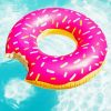 Aesthetic Pink Donut In Pool Paint By Numbers