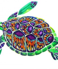 Aesthetic Ridley Sea Turtle Art Paint By Number