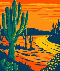 Aesthetic Sunset Saguaro National Park Paint By Number