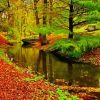 Aesthetic Autumn River Forest Paint By Number