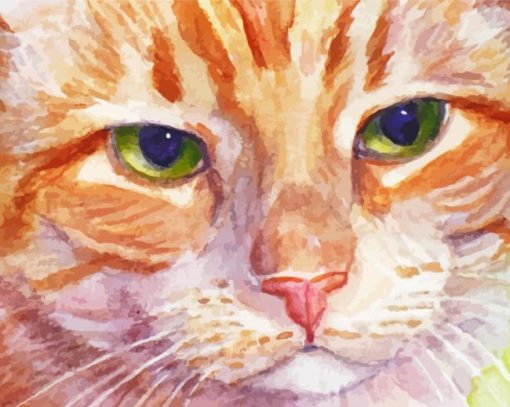 Aesthetic Orange Kitten Close Up Paint By Numbers
