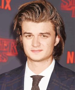 Aesthetic The Actor Joe Keery Paint By Numbers