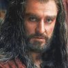 Aesthetic Thorin Scudodiquercia Paint By Number