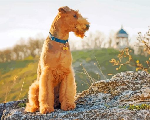 Airedale Sitting Paint By Number