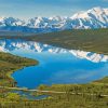 Alaska Denali National Park And Preserve Paint By Numbers