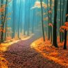 Autumn Misty Paths Paint By Numbers