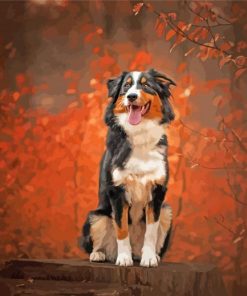 Autumn Black Tri Australian Shepherd Paint By Numbers