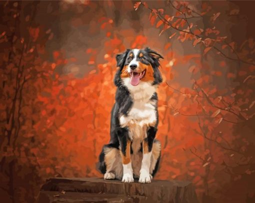 Autumn Black Tri Australian Shepherd Paint By Numbers