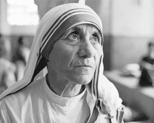 Black And White Mother Teresa Paint By Numbers