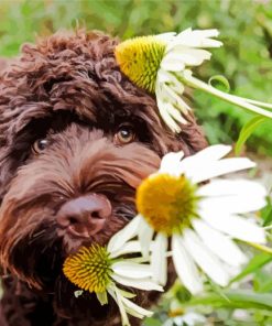 Brown Puppy And Plant Paint By Number