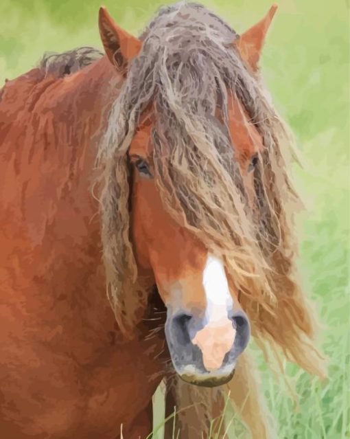 Brown Sable Island Horse Paint By Numbers