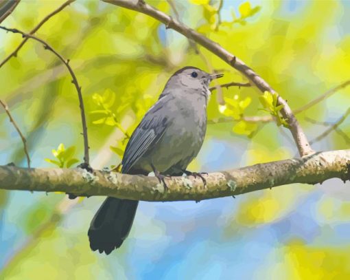 Catbird On A Branch Paint By Numbers