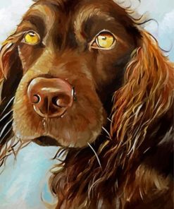 Chocolate Brown Field Spaniel Dog Paint By Number