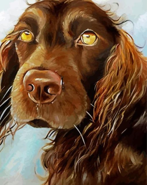 Chocolate Brown Field Spaniel Dog Paint By Number