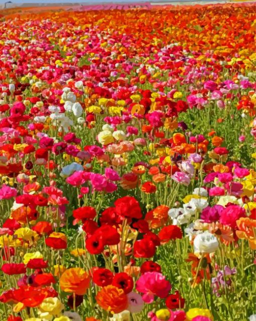 Colorful Flowers In Field Paint By Numbers