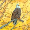 Cute Eagle On A Branch Paint By Number