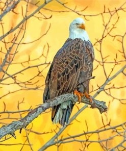 Cute Eagle On A Branch Paint By Number