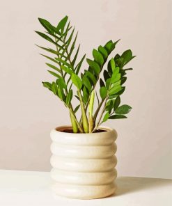 Cute Minimalist Plant Paint By Number