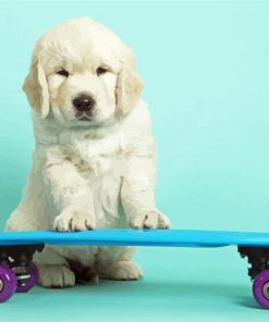 Cute Dog Skateboard Paint By Numbers