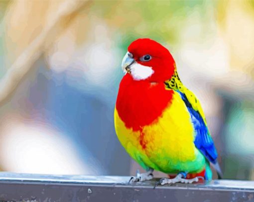 Eastern Rosella Paint By Number