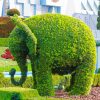 Elephant Topiary Paint By Number