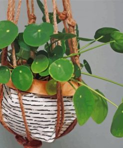 Green Hanging Plants Paint By Number