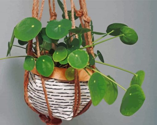 Green Hanging Plants Paint By Number