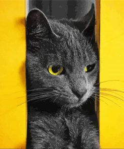 Grey Cat Yellow Wall Paint By Number