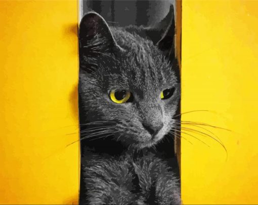 Grey Cat Yellow Wall Paint By Number