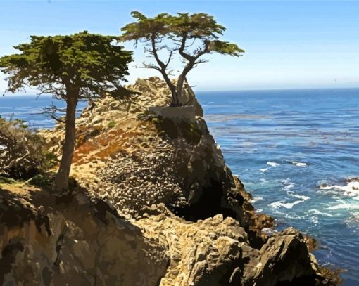 Monterey Trees Landscape Paint By Number